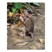 Poster Bébé singe (Devant)