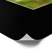 Poster Bébé singe (Coin)