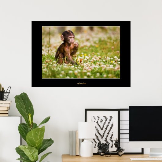 Poster Bébé singe (Bureau à domicile)