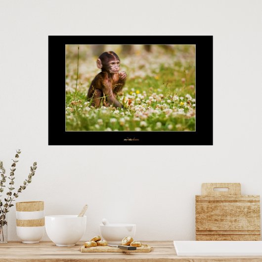 Poster Bébé singe (Cuisine)