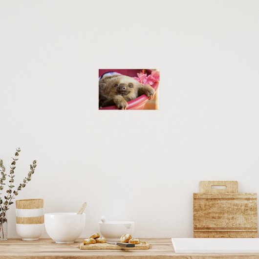Poster Bébé Sloth (Cuisine)
