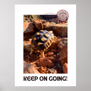 Poster Bébé Sulcata randonnée à Sedona Red Rocks Arizona