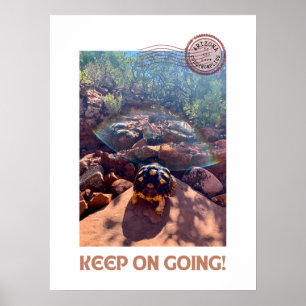 Poster Bébé Sulcata Tortoise Continuez À Inspirer