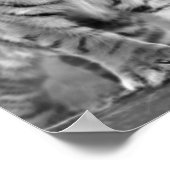 Poster Bébé Tigre en noir et blanc (Coin)