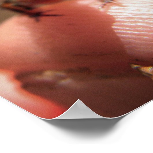 Poster Bébé Toad / Tadpole (Coin)