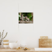 Poster Bébés macaques à queue de cochon jouant sur une br (Cuisine)