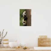 Poster Bébés panda géant Ailuropoda melanoleuca) (Cuisine)