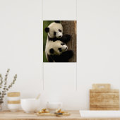 Poster Bébés panda géants (Ailuropoda melanoleuca) 2 (Cuisine)
