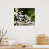 Poster Bébés singes dans la nature (Cuisine)