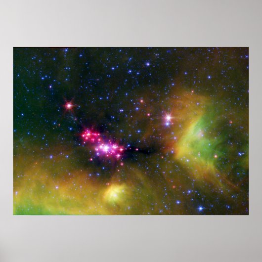 Poster Bébés stellaires (Devant)