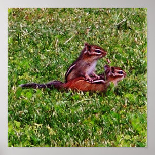 Poster Bébés Tamias Premier Jour #5 Animal