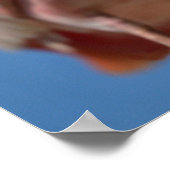 Poster Bec à cuiller rose avec son gros bec (Coin)