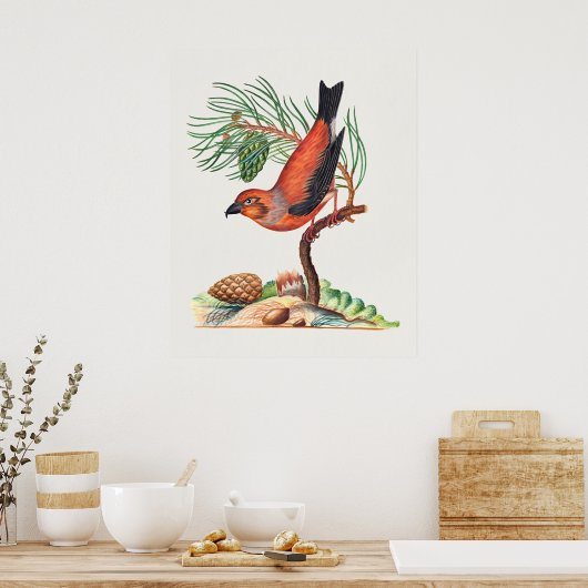 Poster Bec-croisé rouge (Cuisine)