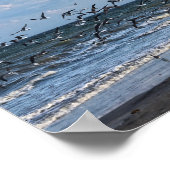 Poster Becards Noirs Décollent sur la Plage de Cape Canav (Coin)