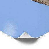 Poster Bécasseau à bec rouge (Coin)