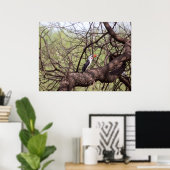 Poster Bécasseau à bec rouge — Sentinelle de la Savannah (Bureau à domicile)