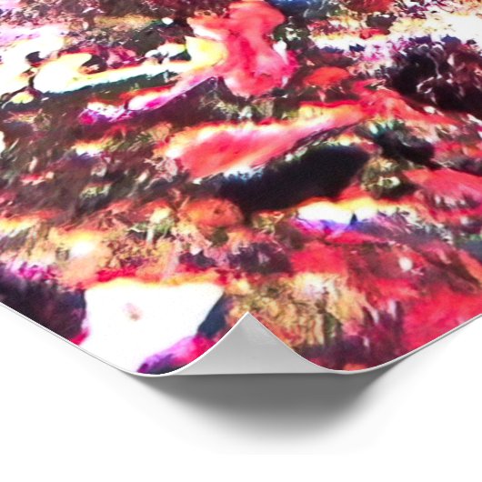 Poster Bécasseau à Hawksbill aux Maldives (Coin)