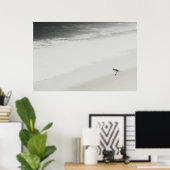 Poster Bécasseau côtier sur la plage (Bureau à domicile)