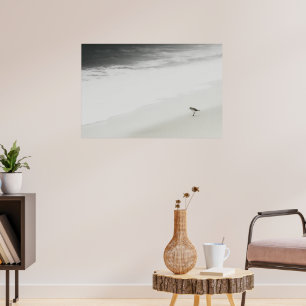 Poster Bécasseau côtier sur la plage