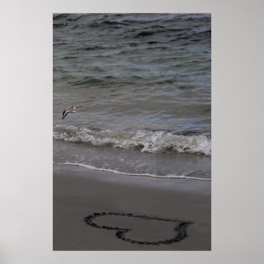 Poster Bécasseau dans l'amour (Devant)