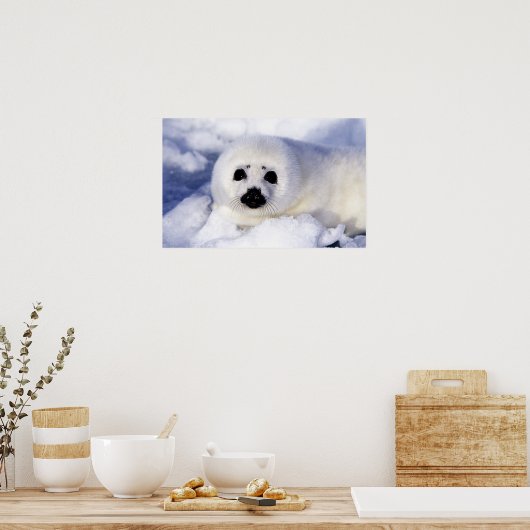 Poster Bécasseau glacé du golfe du Saint-Laurent, (Cuisine)