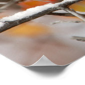 Poster Bécasseau noir adulte en neige (Coin)