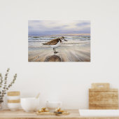 Poster Bécasseau sur le Beach Bird Art (Cuisine)