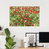 Poster Bed of Tulips, Gorsedd Gardens, Cardiff, Pays de G (Bureau à domicile)