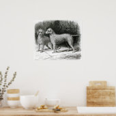 Poster Bedlington Terriers- M. F. Armstrong (Cuisine)