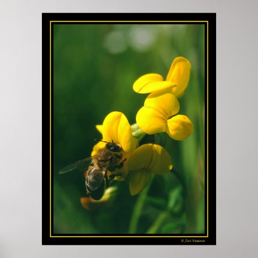 Poster Bee Breakfast (Devant)