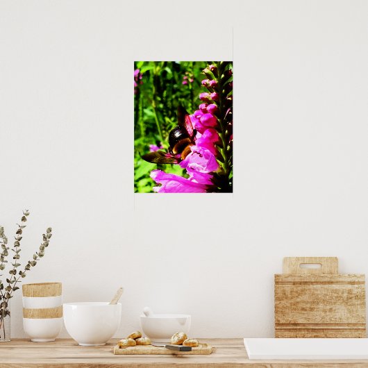 Poster Bee Butt (Cuisine)