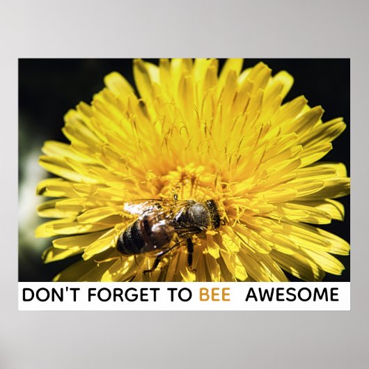 Poster Bee fantastique abeille inspirante sur le pissenli (Devant)