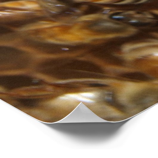 Poster Bee Hive (Coin)