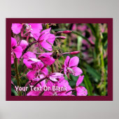 Poster Bee Nice (Devant)