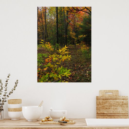 Poster Beech Woods (Cuisine)
