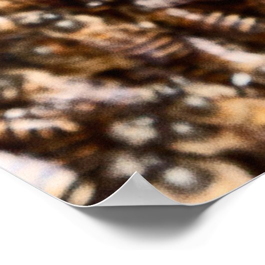 POSTER BEEHIVE (Coin)