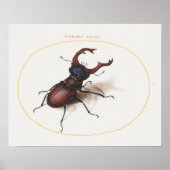 Poster  beeldillustratie (Voorkant)