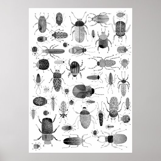 Poster Beetle noir et blanc (Devant)