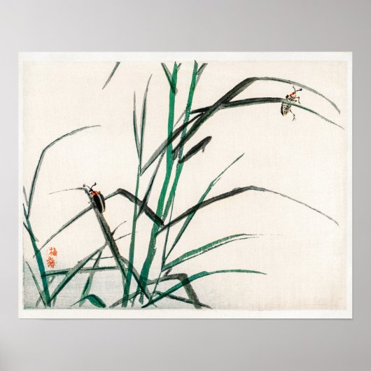 Poster Beetles par Kōno Bairei (1844-1895) (Devant)