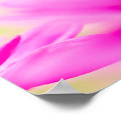 Poster Before the Bloom (Coin)