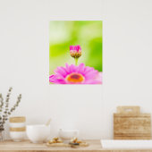 Poster Before the Bloom (Cuisine)