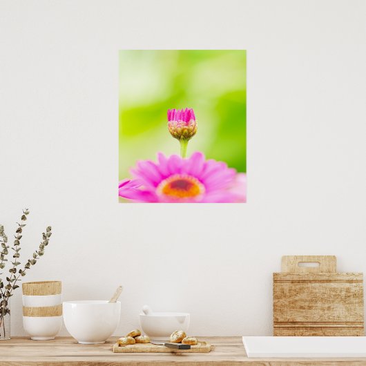 Poster Before the Bloom (Cuisine)