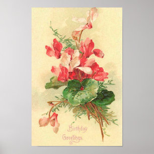Poster Begonia Vintage Anniversaire Salutations