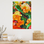 POSTER BEGONIAS (Cuisine)