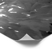 Poster Bégonias (Coin)