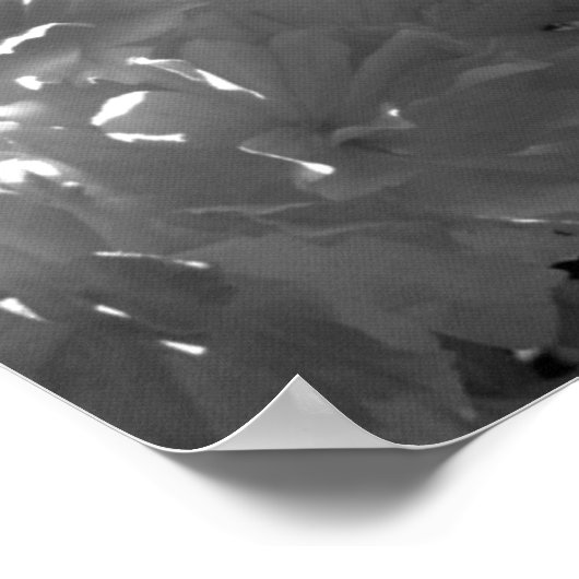 Poster Bégonias (Coin)