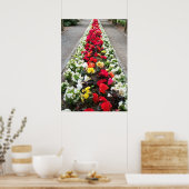 Poster Begonias (Cuisine)