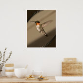 Poster Beija Flor (Cuisine)