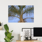 Poster Bel arbre palmier de près (Bureau à domicile)