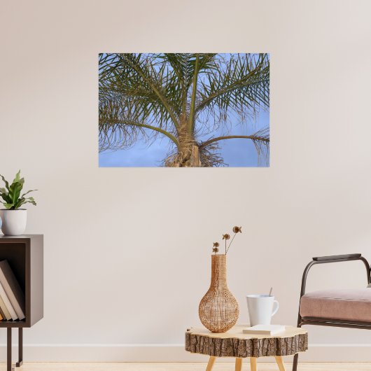 Poster Bel arbre palmier de près (Salon 3)
